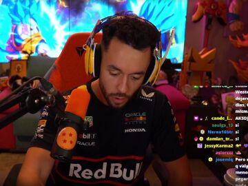 Imagen de TheGrefg en stream