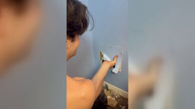Escucha un ruido en la pared y se lleva una gran sorpresa cuando decide abrir una agujero