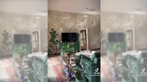 Imagen del vídeo viral Imagen del vídeo viral