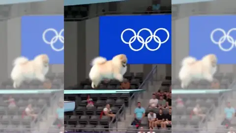 Imagen del vídeo viral Imagen del vídeo viral