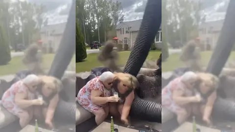 Imagen del vídeo viral Imagen del vídeo viral