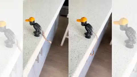 El muñeco en cuestión. El muñeco en cuestión.