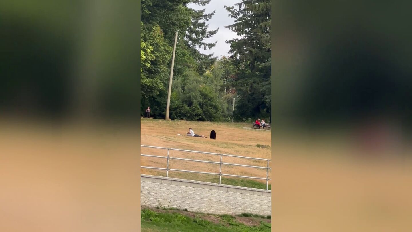 El aterrador momento en que una pareja no se da cuenta de que un oso se acerca hacia ellos
