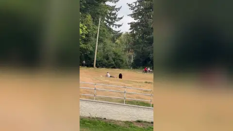 El aterrador momento en que una pareja no se da cuenta de que un oso se acerca hacia ellos El aterrador momento en que una pareja no se da cuenta de que un oso se acerca hacia ellos
