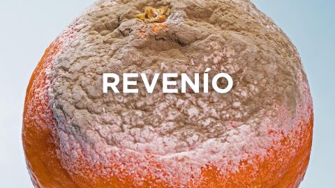 Palabras murcianas - Revenío