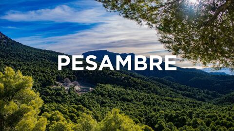 Palabras murcianas - Pesambre