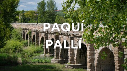 Palabras salmantinas - Paquí