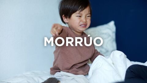 Expresiones extremeñas - Morrúo