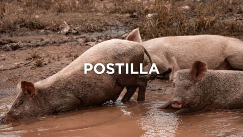 Expresiones extremeñas - Postilla