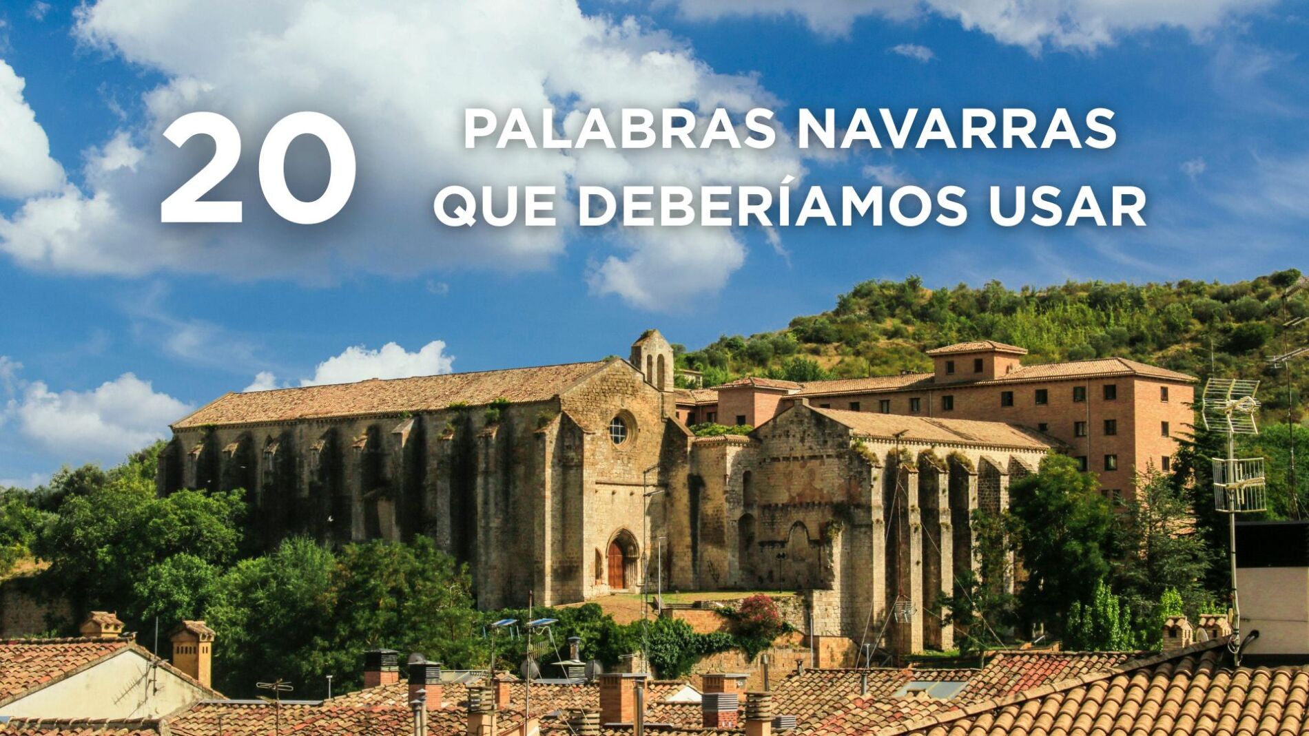 Expresiones navarras - Portada