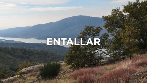 Expresiones extremeñas - Entallar