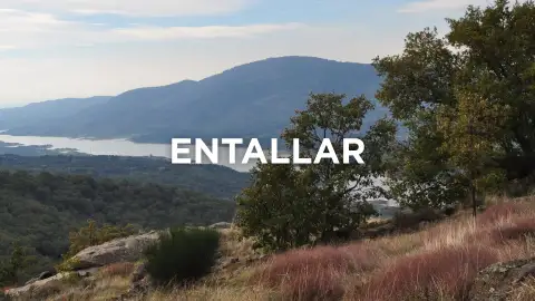 Expresiones extremeñas - Entallar Expresiones extremeñas - Entallar