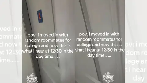 El vídeo viral. El vídeo viral.