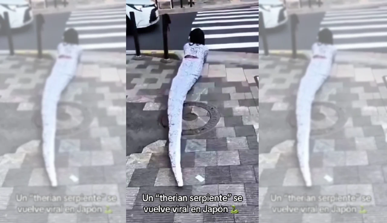 Imagen de un vídeo viral