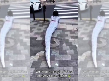 Imagen de un v&iacute;deo viral