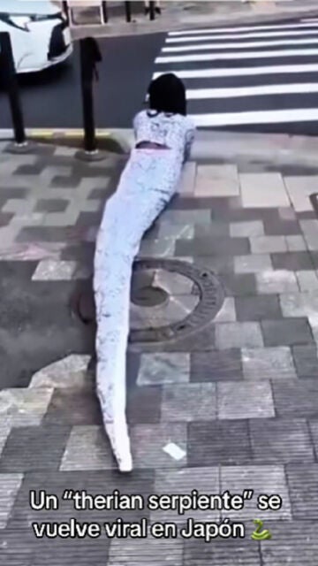 Imagen de un v&iacute;deo viral