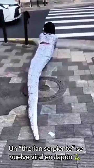 Imagen de un vídeo viral