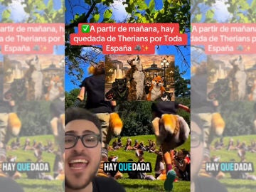 Imagen del v&iacute;deo viral