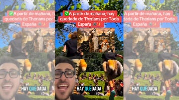 Imagen del v&iacute;deo viral