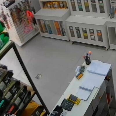 Un perro roba comida de una tienda de mascotas en Brasil