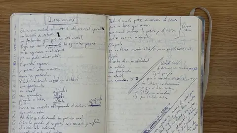 Manuscrito de Instrucciones de Arde Bogotá Manuscrito de Instrucciones de Arde Bogotá