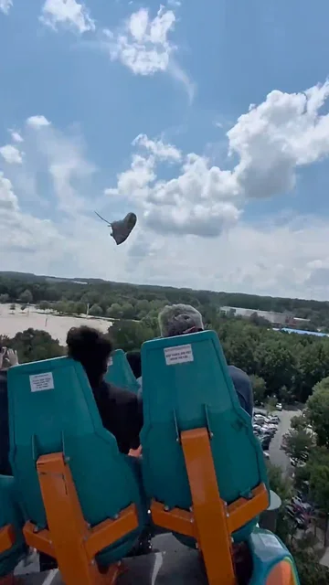 El increíble momento en que un pasajero atrapa la zapatilla de otro a 110 km/h en una montaña rusa El increíble momento en que un pasajero atrapa la zapatilla de otro a 110 km/h en una montaña rusa