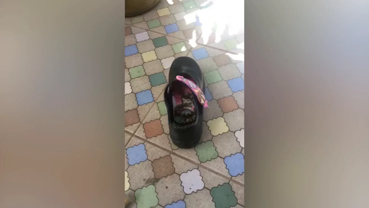 Encuentra una pitón en su zapatilla Encuentra una pitón en su zapatilla
