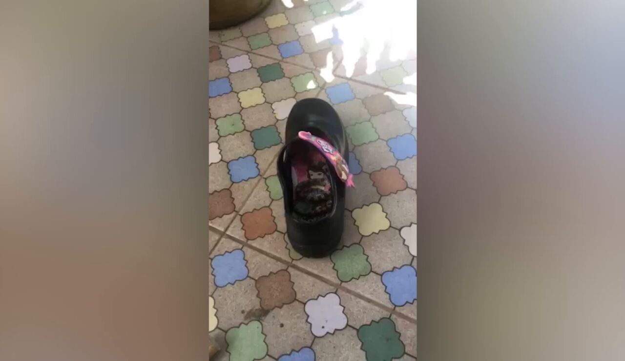 Encuentra una pit&oacute;n en su zapatilla
