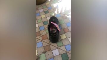 Encuentra una pit&oacute;n en su zapatilla
